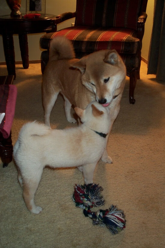 大众健身热潮体育公园成市民首选,大众体育场馆