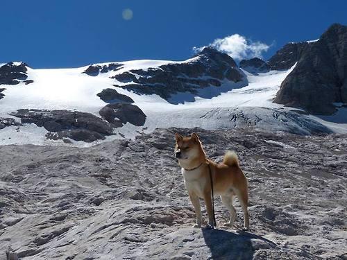 篮球比赛裁判临场沟通方式纳入标准，篮球裁判临场总结