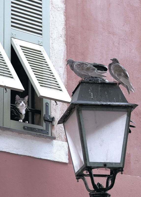 职业球员伤病预防缺乏科学手段，如何避免球员潜在伤病隐患