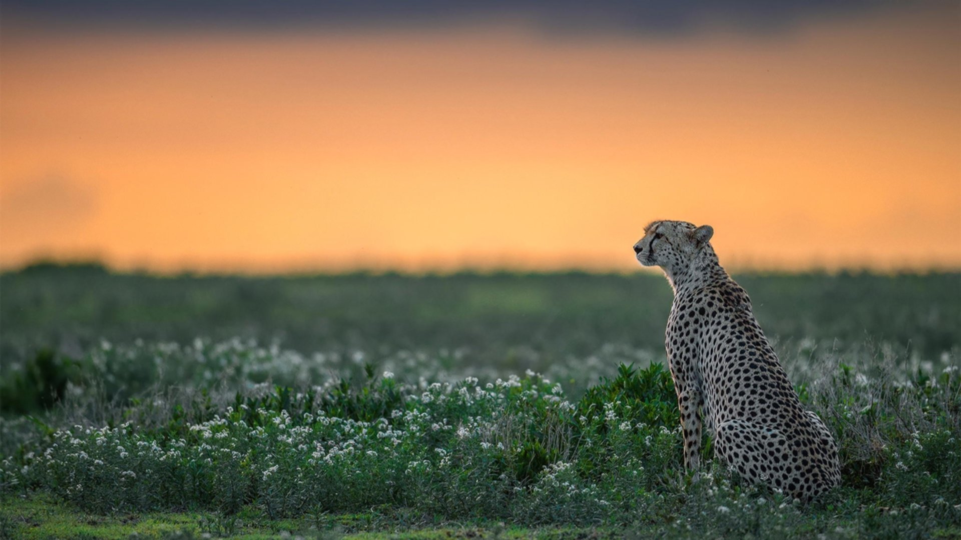 九游体育-体育旅游套餐带动当地酒店与餐饮业增长，体育旅游业运营模式