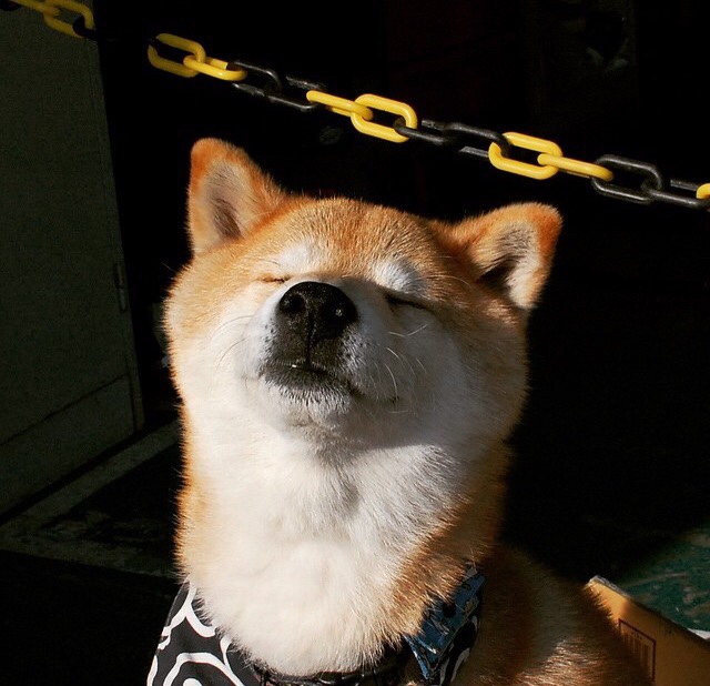 卡萨斯赛场表现引发媒体热议,卡萨斯dnd