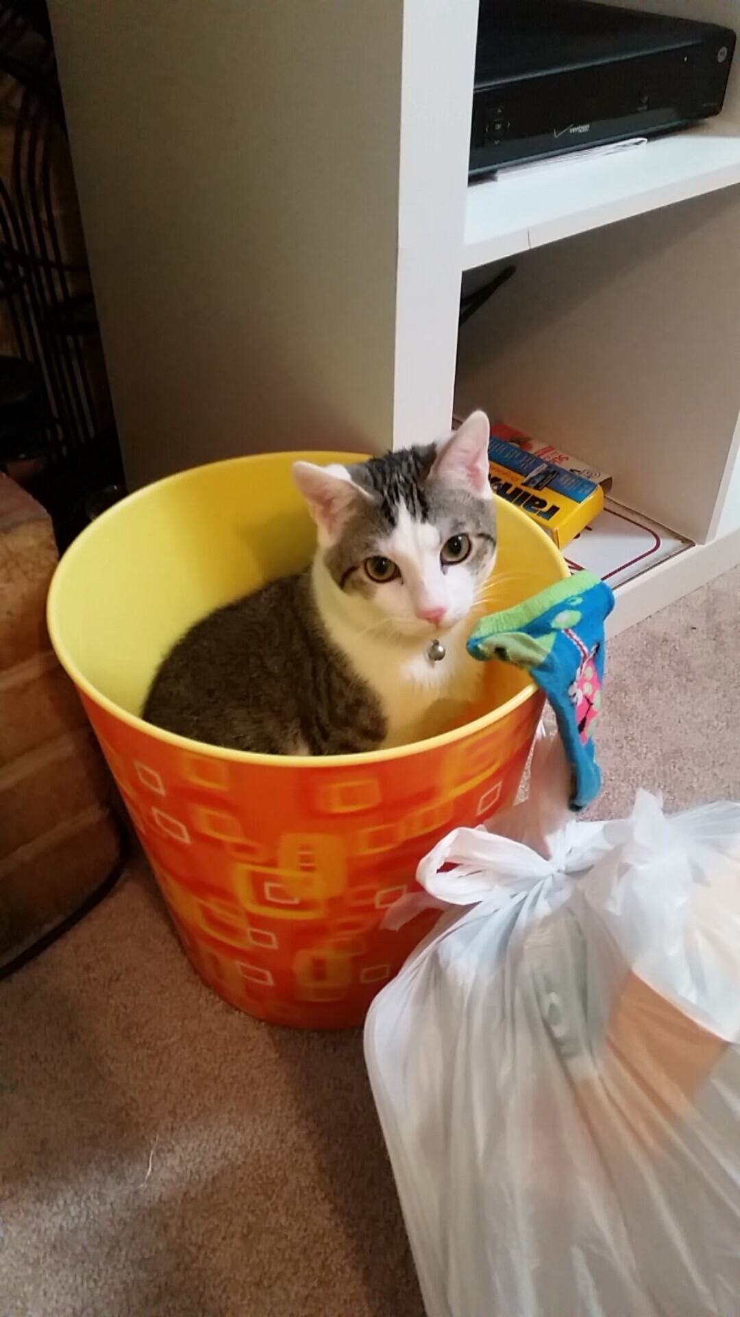 九游娱乐官网-国家级足球体育产业园区加快布局，打造综合性足球产业生态圈，足球产业主要经营内容